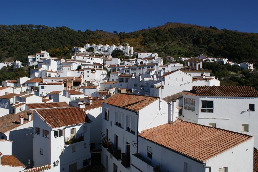 Casas Rurales Jardines Del Visir Хенальгвасиль Экстерьер фото